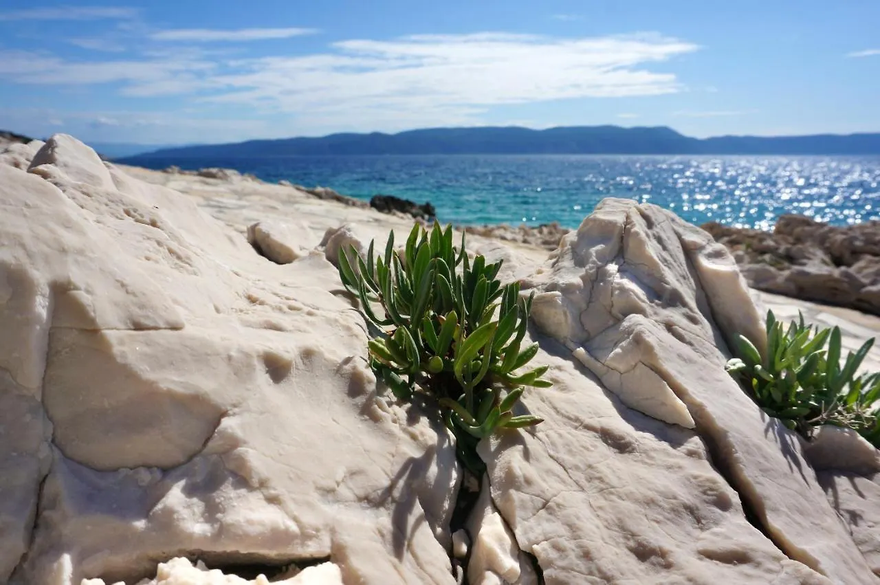 Apartment Suzie Q - Intermezzo With Sea View Rabac