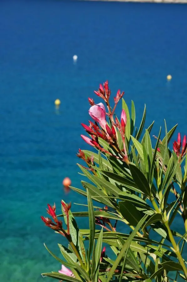 Apartment Suzie Q - Intermezzo With Sea View Rabac