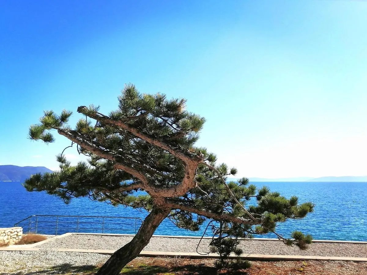Apartment Suzie Q - Intermezzo With Sea View Rabac 0*,